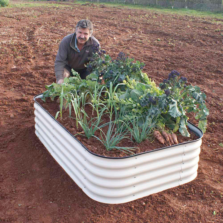 Swepson Metal Raised Garden Bed