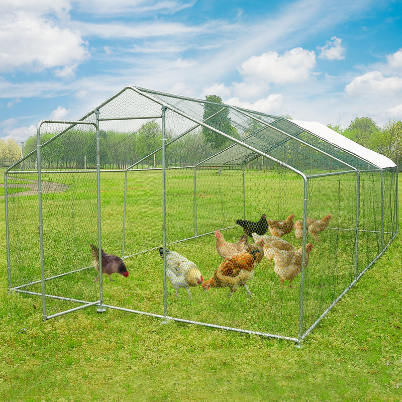 Poulailler de 192 pieds carrés avec couvercle imperméable pour 48 à 64 poulets, H 78,74 po x l 118,11 po x P 236,2 po