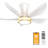 30 Inch 5 Blade Ceiling Fan With Light, Modern Ceiling Fan With Remote,Large Airflow,Flush Mount,6CCT,Dimmable,Noiseless,Bedroom Ceiling Fan-1677591091