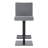 Bucoli Modern Adjustable Swivel Metal Bar Stool-323826949-323826946