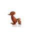 Animal Duck