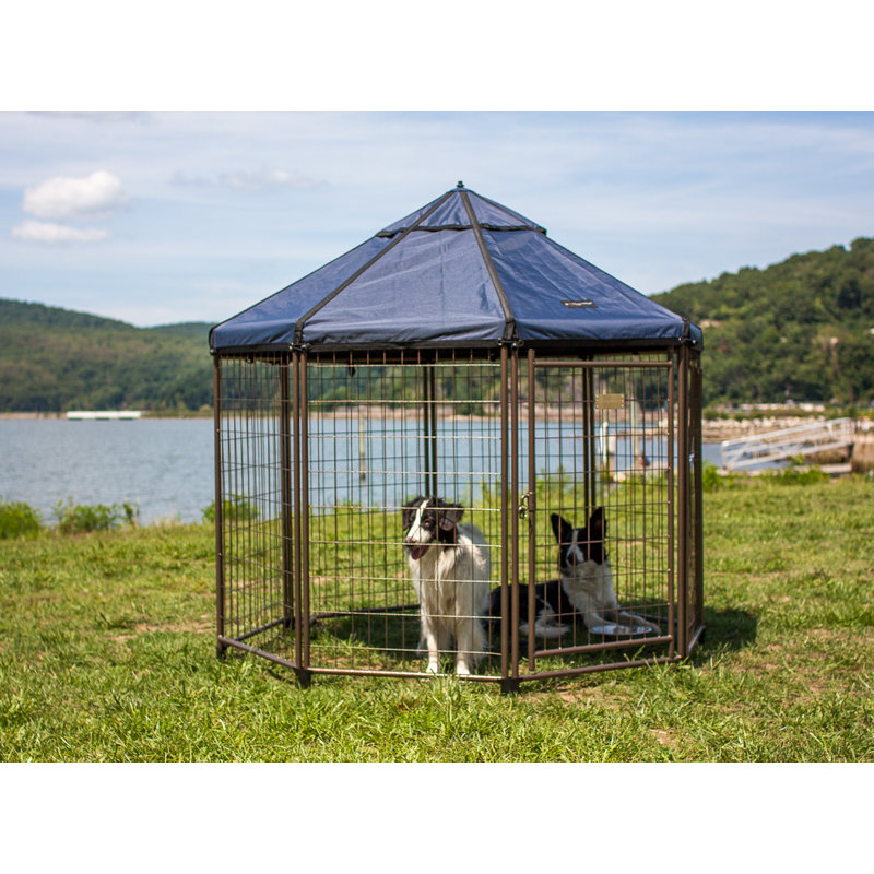 Chenil pour chien modulaire et parc pour animaux avec auvent pour animal de compagnie - enclos intérieur, extérieur et portable, 5 pi