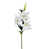 Blanc sélectionné