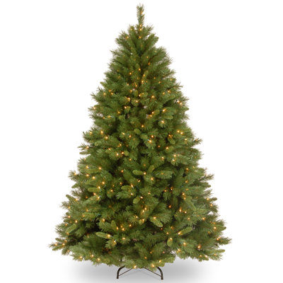 The Holiday Aisle® Winchester Pine Tree with Clear Lights