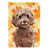Brown Cockapoo
