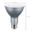 15 Watt Silver Bulb