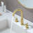 2-handle Bathroom Faucet with Drain Assembly-73695307
