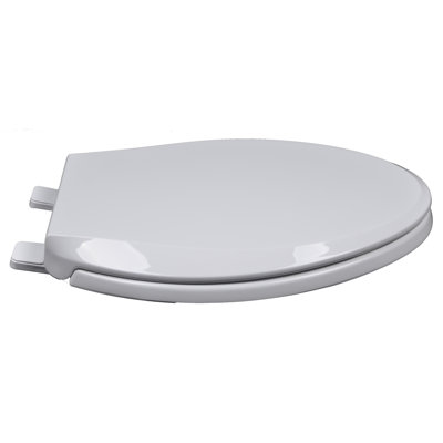 Elongated Toilet Seat and Lid