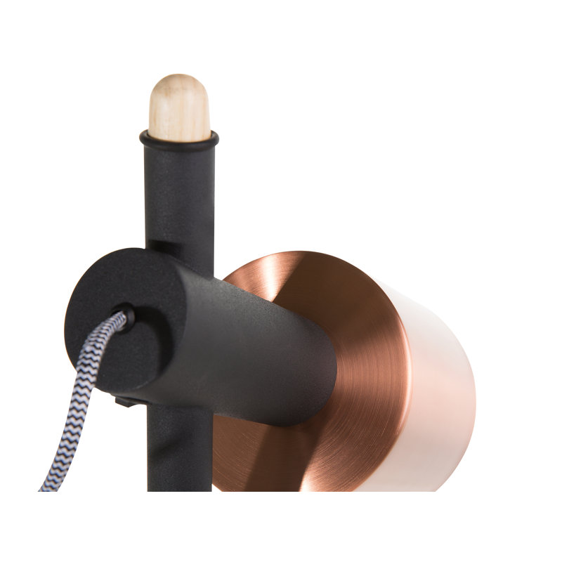Davion 148cm Novelty Floor Lamp, Black/Copper