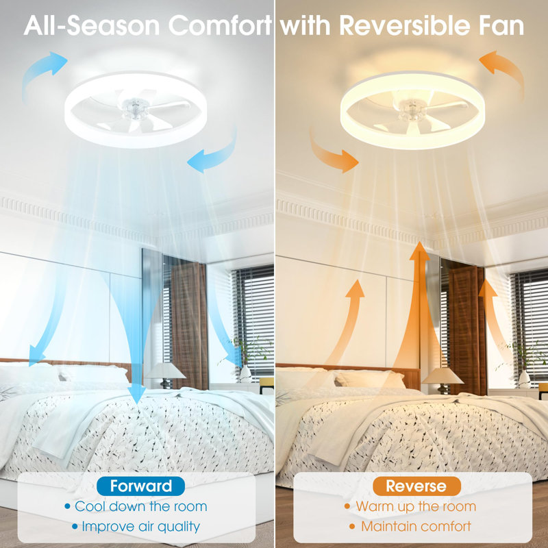 Ceiling Fan with LED Lights