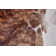 Abernethy Cowhide Animal Print Indoor Rug