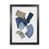Black Framed selected