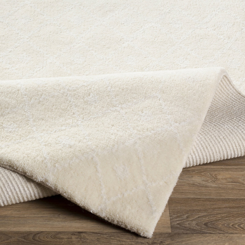 Odelia Hand Knotted Indoor Rug, Rectangle 8' x 10'
