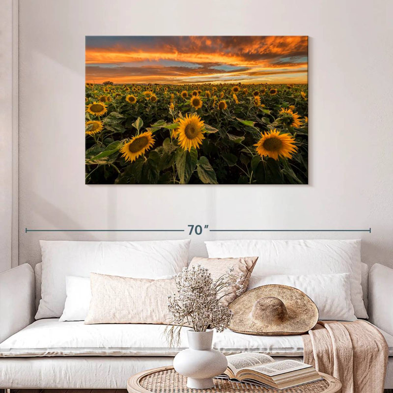 Champ de tournesols d'Alvord, Californie, H 30 po x l 45 po