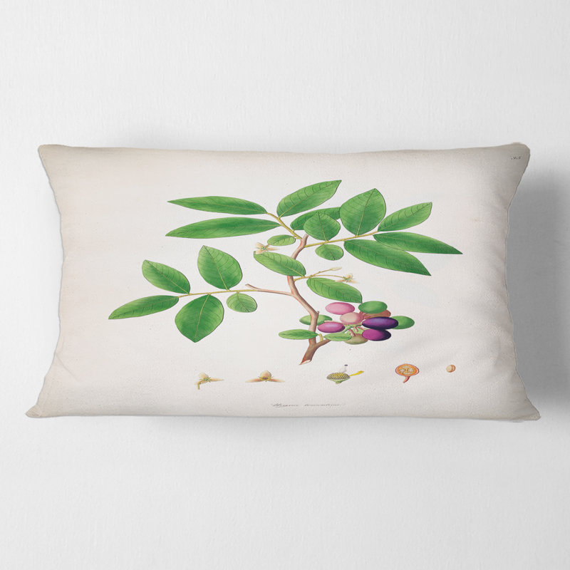 Coussin Vintage London Plants Vintage - Farmhouse