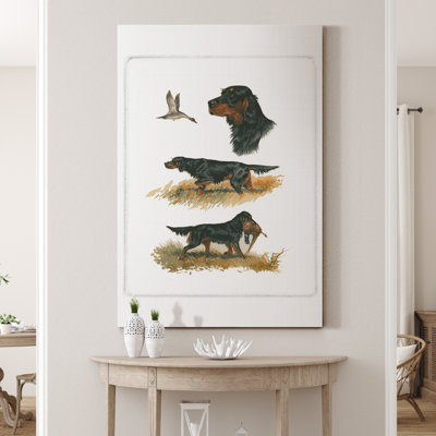 " Gordon Setter "