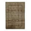 Oriental Area Rug in Beige