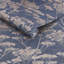 Floral Metallic Wallpaper Double Roll-1213983189
