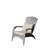 Patio Chair with Cushions( Grey Cushion)