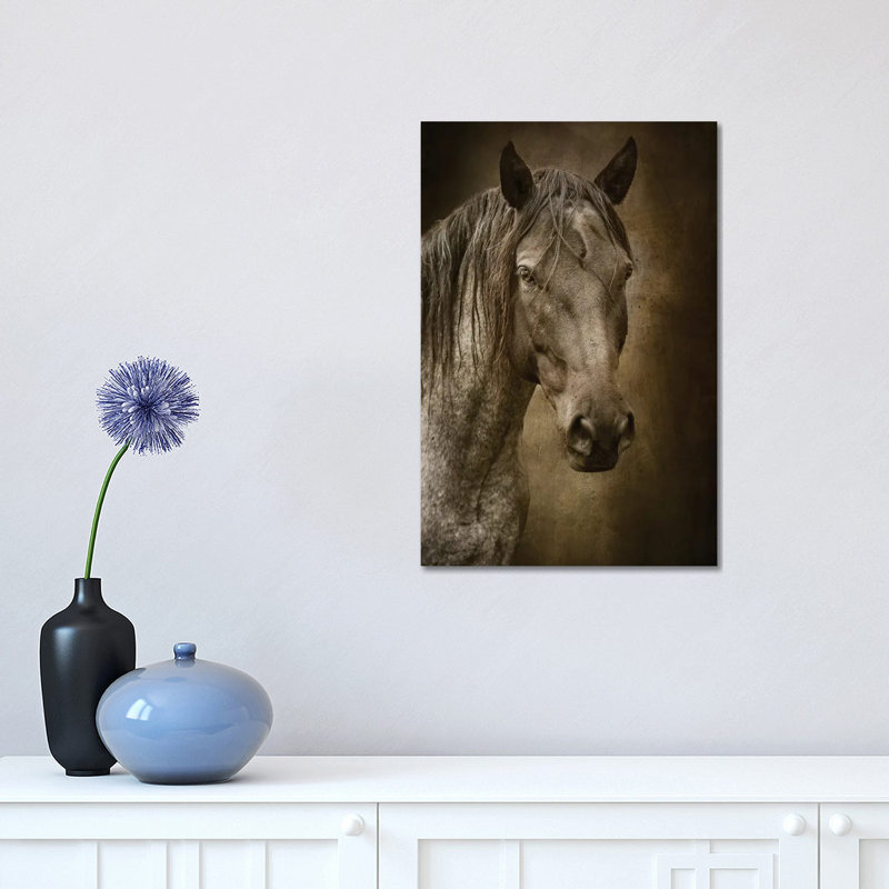 Black Horse by Rhonda Thompson - Wrapped Canvas Print