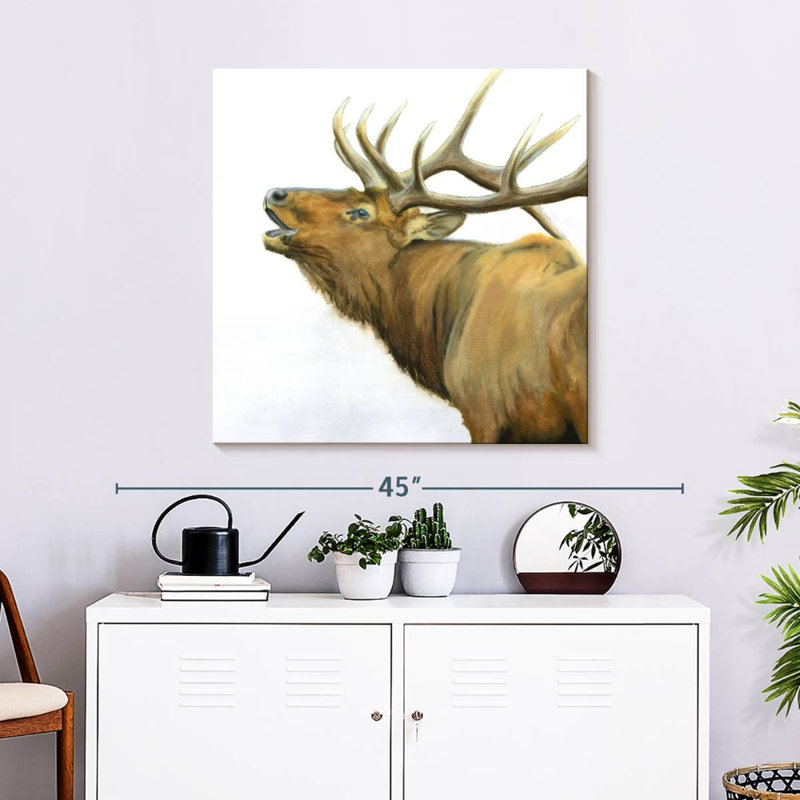 Brampt Majestic Elk Brown Crop
