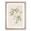 Carbonated Warbler Birds by John Audubon - Picture Frame Painting Print-55513943-55513939