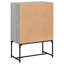 Aanvi Steel Standard Accent Cabinet-1763828317