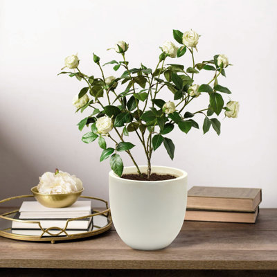 Pot à fleurs blanc avec trou de drainage de 13,7 po de diamètre Acushnet
