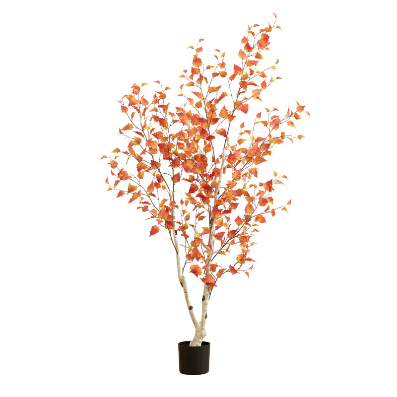 Argonaut 72'' Faux Foliage Tree in Pot