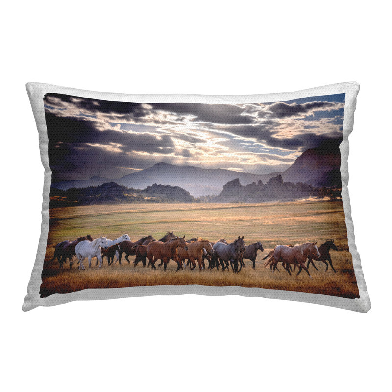 Polyester Throw Rectangular Indoor/Outdoor Pillow Cover & Insert by PHBurchett