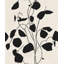 Susan Hable Floral Wallpaper Roll-1902456593