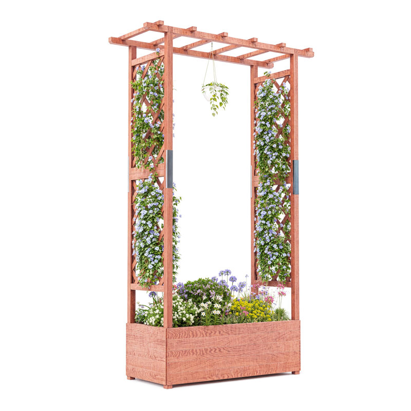 Lit de jardin surélevé surélevé en bois avec treillis et toit suspendu
