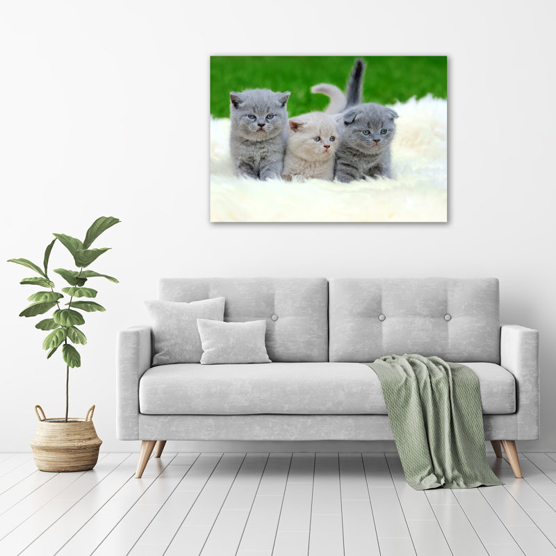 Three Cats On A Blanket - No Frame Print on Canvas