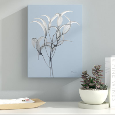 " Skyway Oleander Bush "