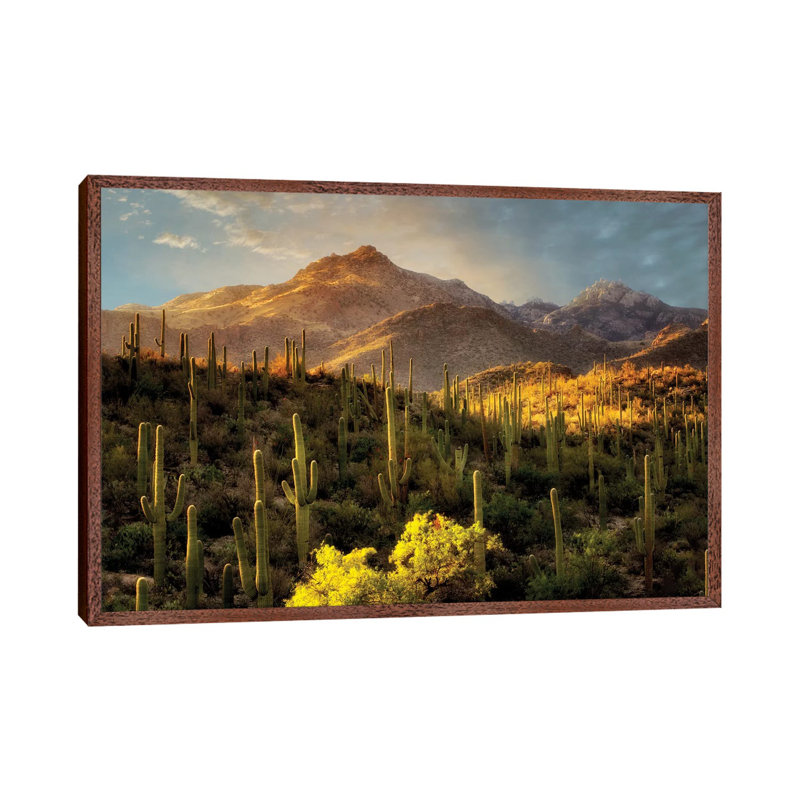 Desert Beauty by Dennis Frates - Print on Canvas, 45.72cm H x 66.04cm W x 3.81cm D, Classic Brown Wood Framed