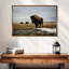Bison Cloud Day-201621973-201621974