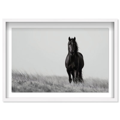 Lone Stallion I Framed Graphic Art