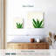Harnek Succulent Simplicity Neutral I-109399307
