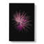 Pink And Purple Fireworks In Abstract - Wrapped Canvas-55341365