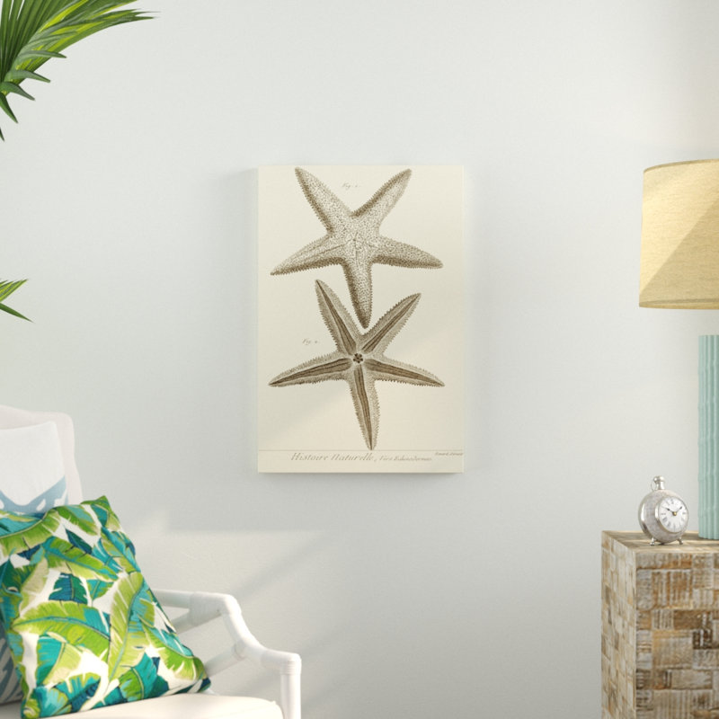 «Striking Starfish I», impression sur toile, H 36 po x l 24 po, Toile tendue