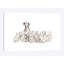 «Dalmatian and Printcats», impression sur toile-31855481-73196832-73196837