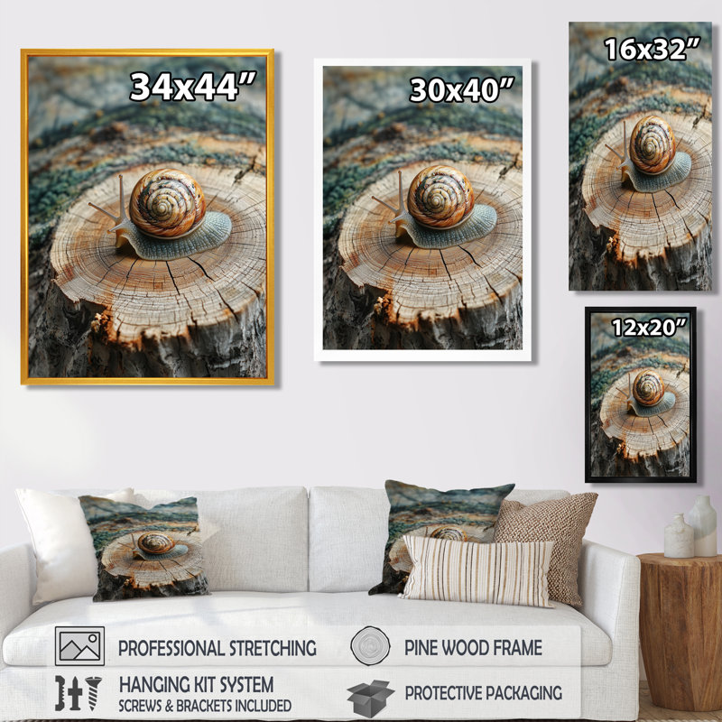 «Snail At The Mountain On Slide» - art mural grand escargot, Noir, Reproduction encadrée sans passe-partout