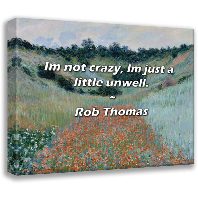 Citation artistique «Je ne suis pas fou, je suis juste un peu mal à l'aise». Toile tendue par Rob Thomas Gallery