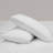 Goose Feather Piece Standing Pillow (set Of 2)-1918079521