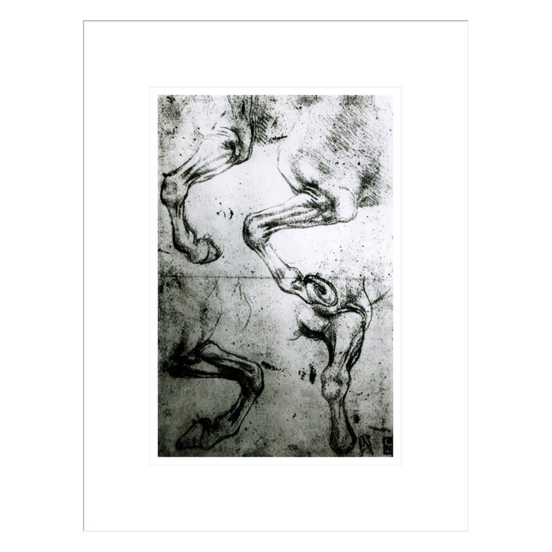 Études de pieds de cheval par Leonardo Da Vinci - Estampe numérique encadrée, H 16,75 po x l 12,91 po
