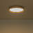 Dimmable Acrylic Led Flush Mount