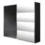 Moita 2 Door Sliding Wardrobe-15306018-105465728