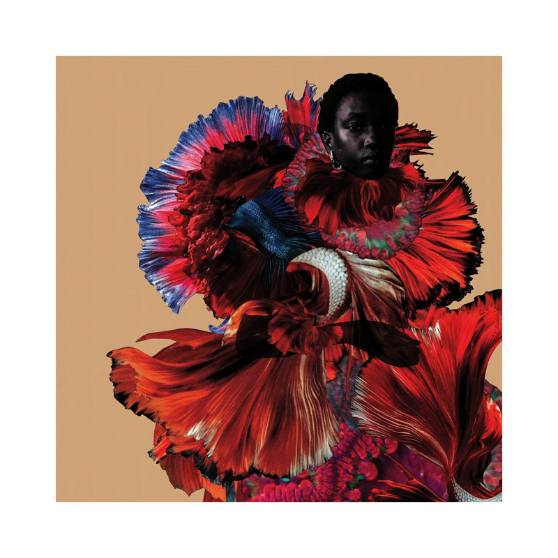 Rose by Lolita Lorenzo - Wrapped Canvas Print, 66.04 cm H x 66.04 cm W x 3.175 cm D