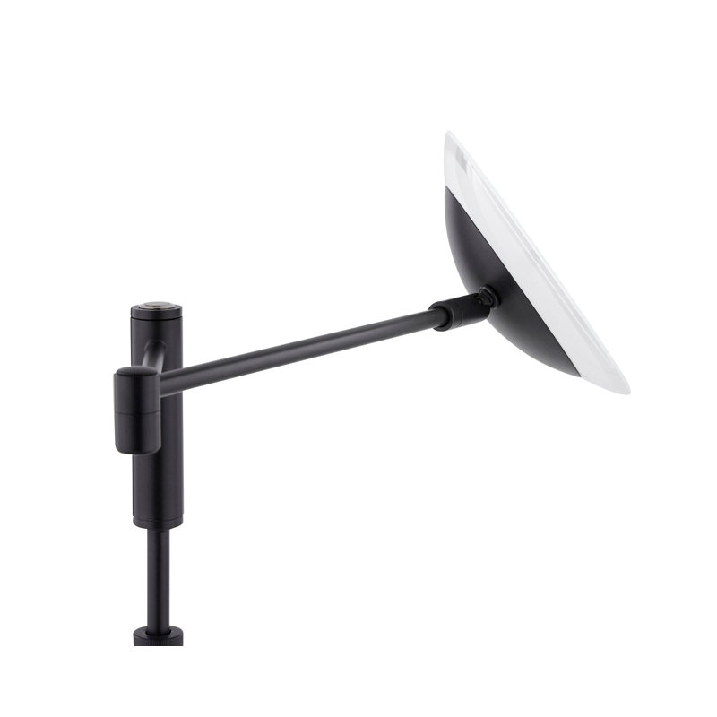 Lampe sur pied à bras articulé à DEL 54 po Millsaps, Noir