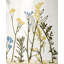 Lenox Wildflowers Teapot